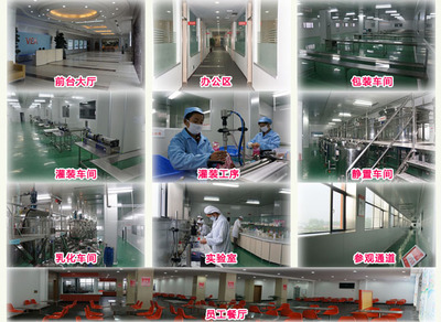 襄陽維美生物科技 專業(yè)計算機及辦公設備維修服務