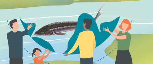 施工噪聲致中華鱘死亡 四家建設單位被起訴